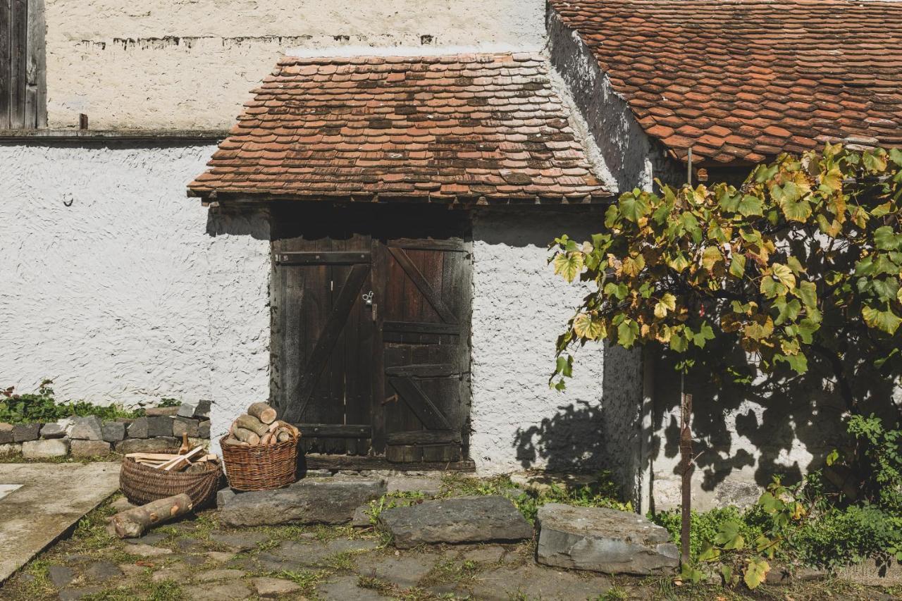 The Dream House Of Racos Racosu de Jos Exterior foto
